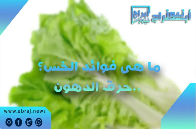 ما هى فوائد الخس