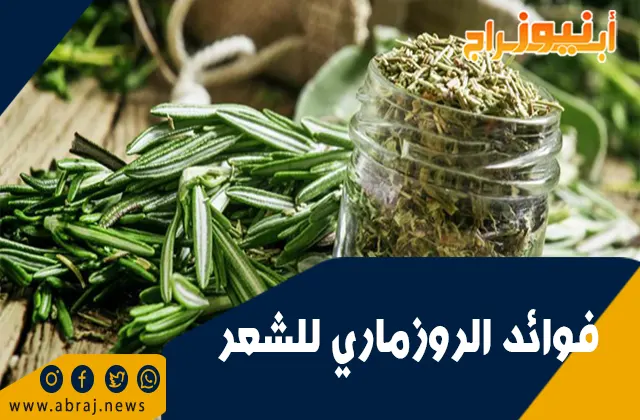 فوائد الروزماري للشعر