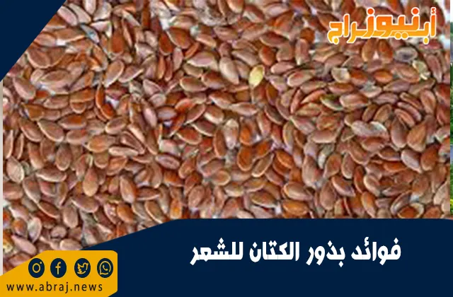 فوائد بذور الكتان للشعر