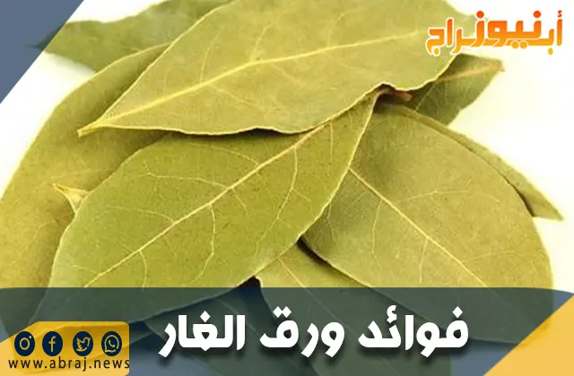 فوائد ورق الغار