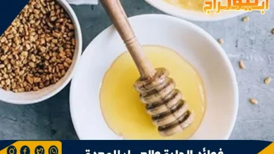 فوائد الحلبة والعسل للمعدة