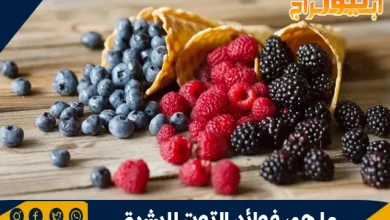 ما هي فوائد التوت للبشرة .. طب الأعشاب التقليدي 12 ما هي فوائد التوت للبشرة