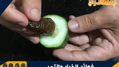 فوائد الخيار والتمر .. طب الأعشاب التقليدي 10 فوائد الخيار والتمر