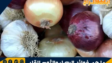ما هي فوائد البصل والثوم للقلب .. طب الأعشاب التقليدي 11 ما هي فوائد البصل والثوم للقلب