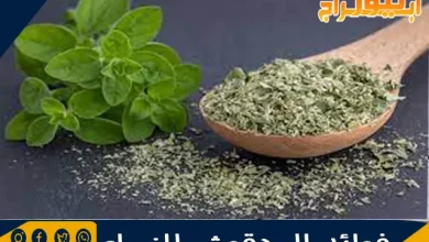 فوائد البردقوش للنساء 9 فوائد البردقوش للنساء