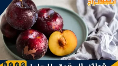 فوائد البرقوق للحامل 6 فوائد البرقوق للحامل