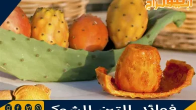 فوائد التين الشوكي 2 فوائد التين الشوكي