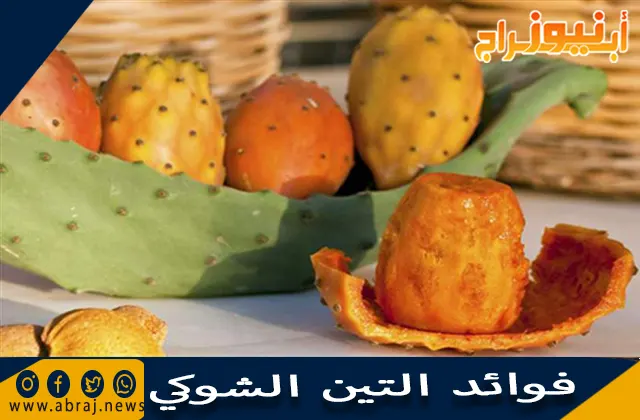فوائد التين الشوكي