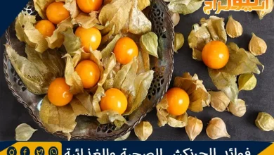 فوائد الحرنكش الصحية والغذائية 2 فوائد الحرنكش الصحية والغذائية