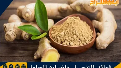 فوائد الزنجبيل واضراره للحامل 4 فوائد الزنجبيل واضراره للحامل