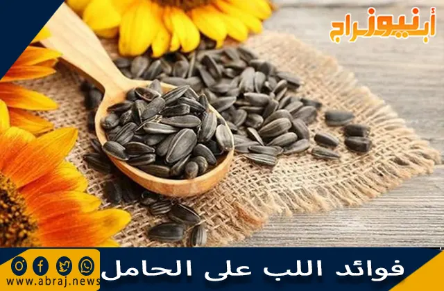 فوائد اللب على الحامل