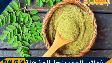 فوائد المورينجا المذهلة 2 فوائد المورينجا المذهلة