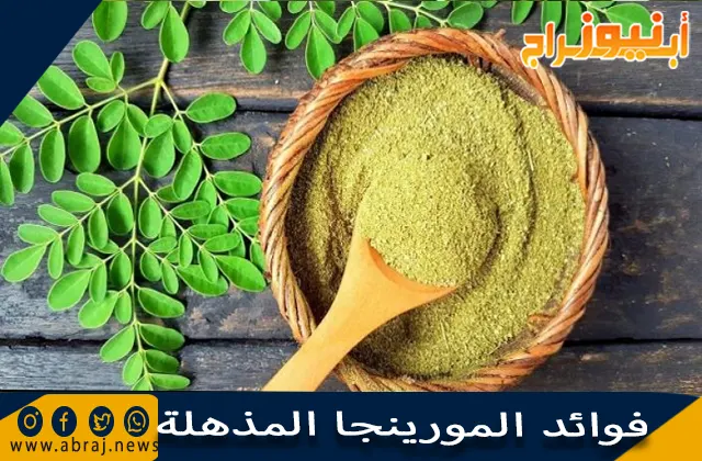 فوائد المورينجا المذهلة
