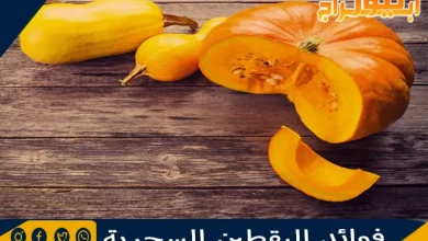 فوائد اليقطين السحرية 7 فوائد اليقطين السحرية