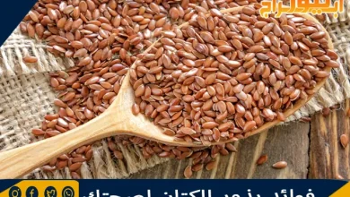 فوائد بذور الكتان لصحتك 8 فوائد بذور الكتان لصحتك