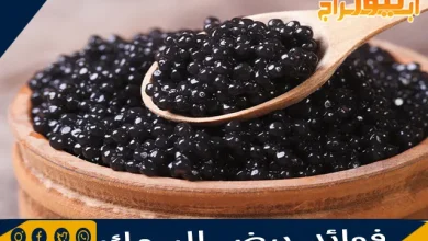 فوائد بيض السمك 4 فوائد بيض السمك