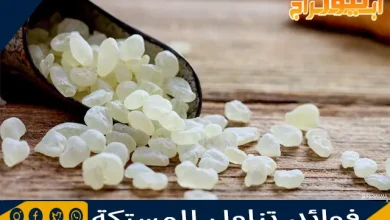 فوائد تناول المستكة