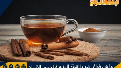 ما هي فوائد شرب القرفة المذهلة لجسم الانسان 11 ما هي فوائد شرب القرفة المذهلة لجسم الانسان