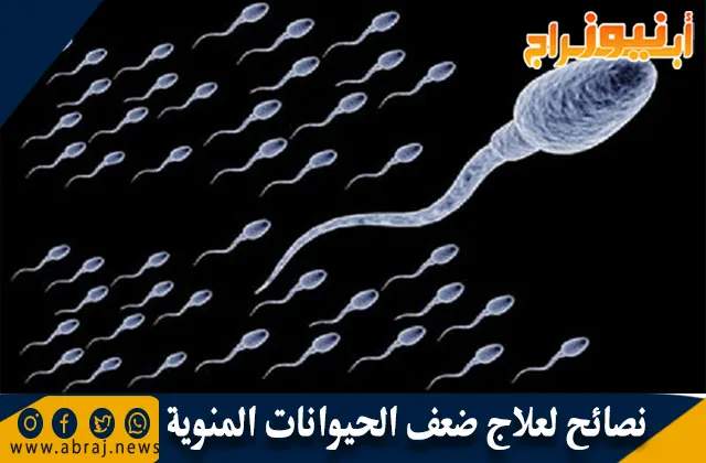 نصائح لعلاج ضعف الحيوانات المنوية وفرص حدوث الحمل