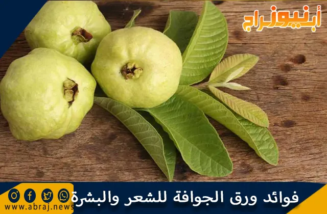 فوائد ورق الجوافة للشعر والبشرة