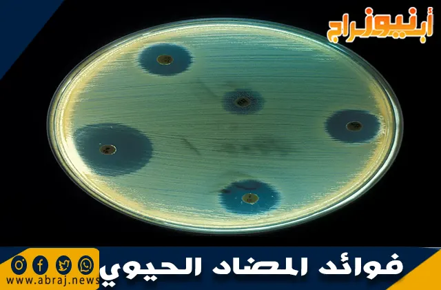 فوائد المضاد الحيوي وآلية عمله في محاربة الالتهابات البكتيرية والوقاية منها