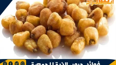 فوائد حبوب الذرة المحمصة 9 فوائد حبوب الذرة المحمصة