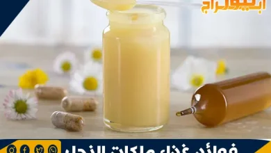 فوائد غذاء ملكات النحل والآثار الجانبية له 8 فوائد غذاء ملكات النحل والآثار الجانبية له