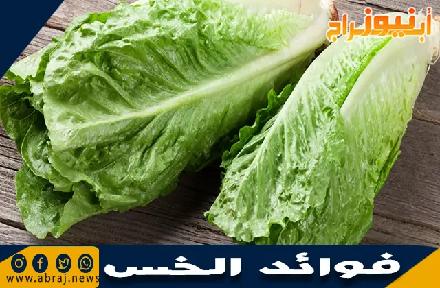 فوائد الخس