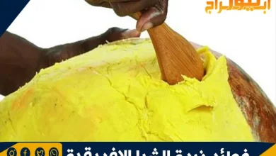 فوائد زبدة الشيا الإفريقية