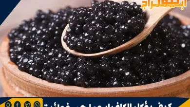 كيف يؤكل الكافيار وما هي فوائدة 8 كيف يؤكل الكافيار وما هي فوائدة