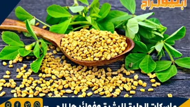 ماسكات الحلبة للبشرة وفوائدها للجسم 12 ماسكات الحلبة للبشرة وفوائدها للجسم