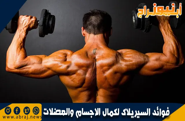 فوائد السيريلاك لكمال الاجسام والعضلات