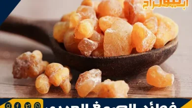 فوائد الصمغ العربي 3 فوائد الصمغ العربي