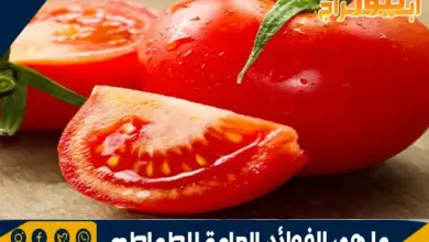 ما هي الفوائد العامة للطماطم 9 الفوائد العامة للطماطم