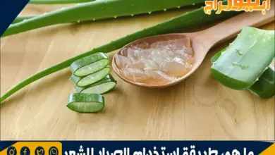 ما هي طريقة استخدام الصبار للشعر 7 طريقة استخدام الصبار للشعر