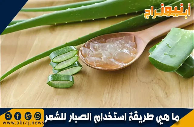 طريقة استخدام الصبار للشعر