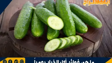ما هي فوائد أكل الخيار يومياً 5 فوائد أكل الخيار يومياً