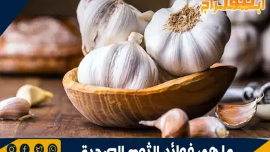 ما هي فوائد الثوم الصحية 8 ما هي فوائد الثوم الصحية