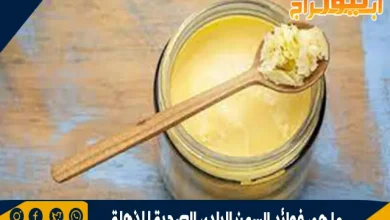 ما هي فوائد السمن البلدي الصحية المذهلة 5 ما هي فوائد السمن البلدي الصحية المذهلة