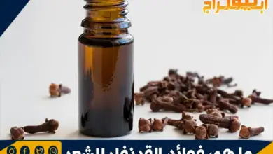 ما هي فوائد القرنفل للشعر 6 فوائد القرنفل للشعر