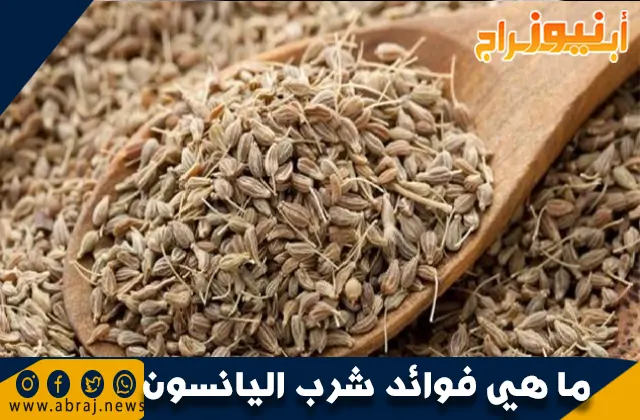 ما هي فوائد شرب اليانسون