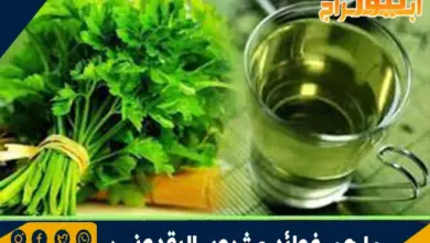فوائد مشروب البقدونس
