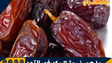 ما هي نسبة السكر في التمر