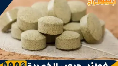 فوائد حبوب الخميرة 6 فوائد حبوب الخميرة