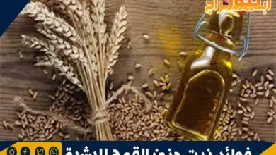 فوائد زيت جنين القمح للبشرة 8 فوائد زيت جنين القمح للبشرة