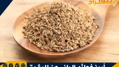 أبرز فوائد اليانسون للبشرة والصدر والجهاز الهضمي 4 أبرز فوائد اليانسون للبشرة والصدر والجهاز الهضمي