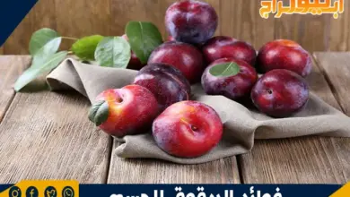 فوائد البرقوق للجسم 6 فوائد البرقوق للجسم