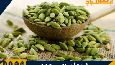 فوائد الحبهان 10 فوائد الحبهان