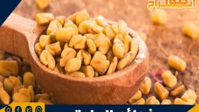 فوائد الحلبة 11 فوائد الحلبة