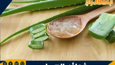 فوائد الصبار 9 فوائد الصبار